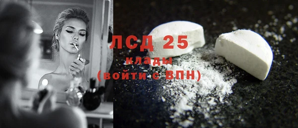 дурь Каменка