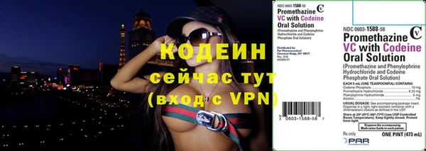 дурь Каменка