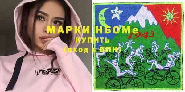 прущие грибы Новый Уренгой