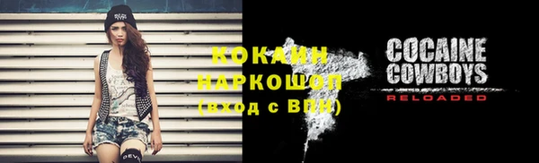 дурь Каменка