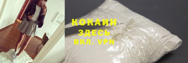 дурь Каменка