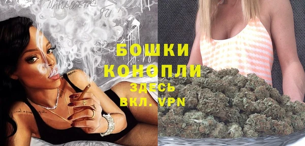 дурь Каменка