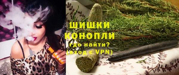 дурь Каменка