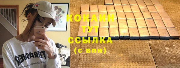 дурь Каменка