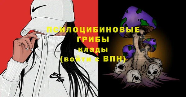 дурь Каменка