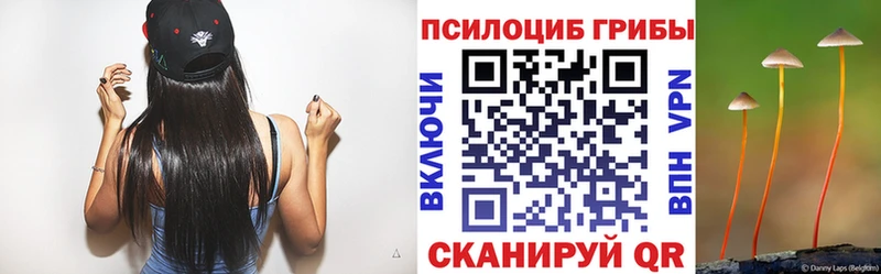 Псилоцибиновые грибы мухоморы  Махачкала 