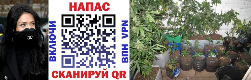 Канабис THC 21%  Махачкала 